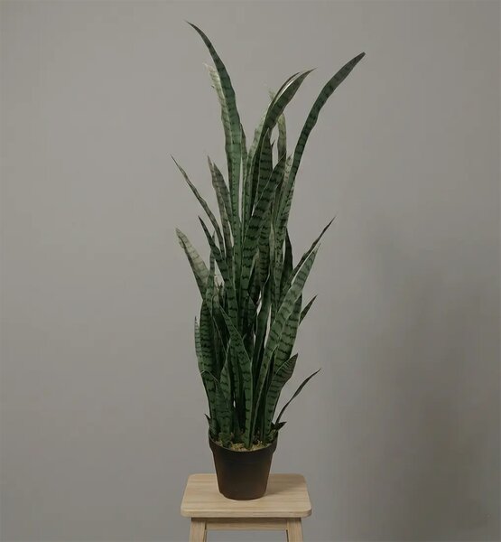Umjetna Sansevierija Urban 120 cm - 91 - 120 cm