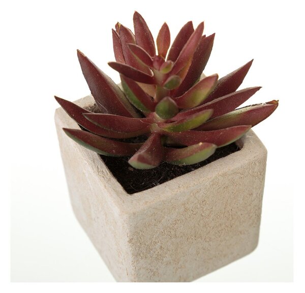 Umjetne biljke u setu 6 kom (visina 9,5 cm) Cactus – Casa Selección