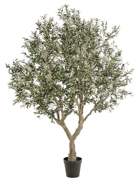 Umjetna maslina 250 cm - 231 - 260 cm - 161 do 200cm