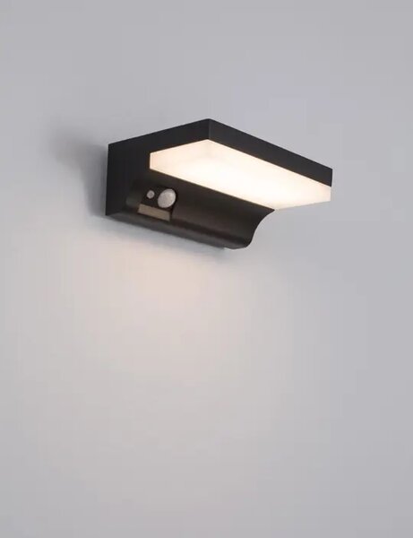DYN VANJSKA ZIDNA SVJETILJKA LED 1,5W/3000K/152lm/IP65/ANTRACIT SENZOR SOLAR NL9190101