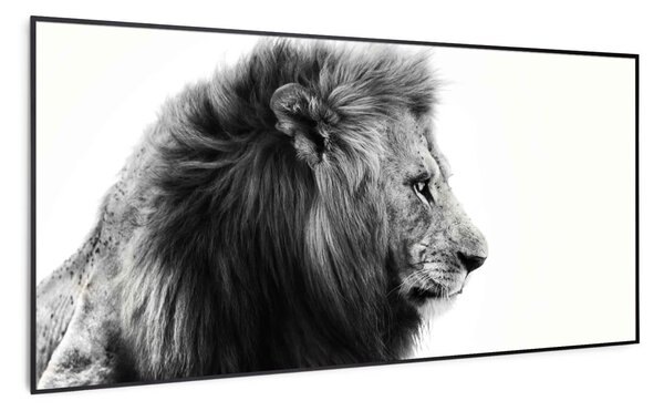 Klarstein Wonderwall Air Art Smart, infracrveni grijač, lav, 60 x 120 cm, 700 W