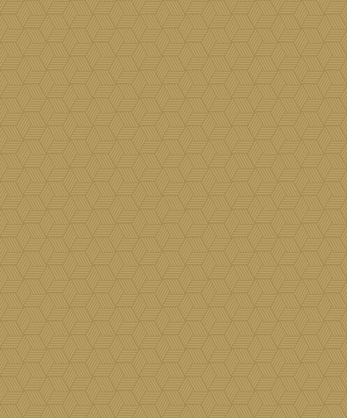 Tapeta Connexions 5 boja