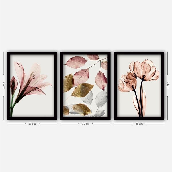 Slike u setu 3 kom 35x45 cm – Wallity