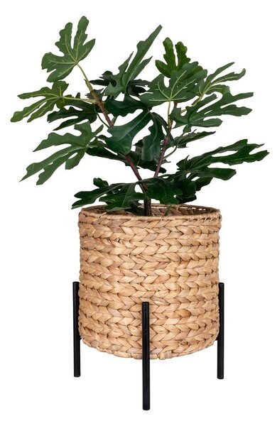 Posuda za cvijeće od vodenog zumbula ø 24 cm Antas – House Nordic