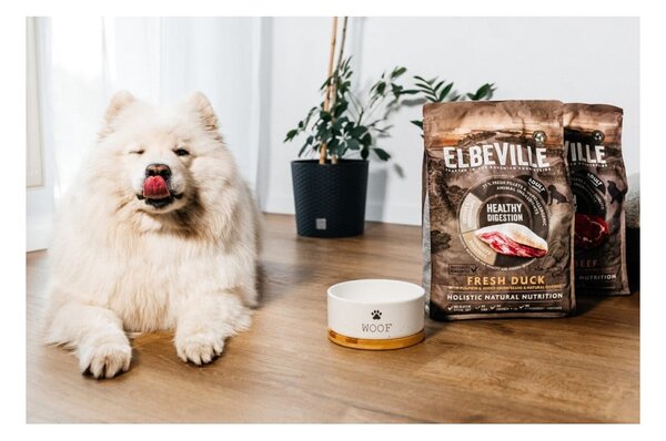 Keramička zdjela za hranu za ljubimce za pse ø 16 cm Dog Fantasy WOOF – Plaček Pet Products
