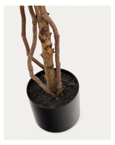 Umjetni fikus (visina 180 cm) Ficus – Kave Home