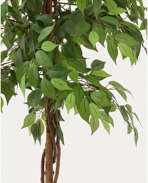 Umjetni fikus (visina 180 cm) Ficus – Kave Home