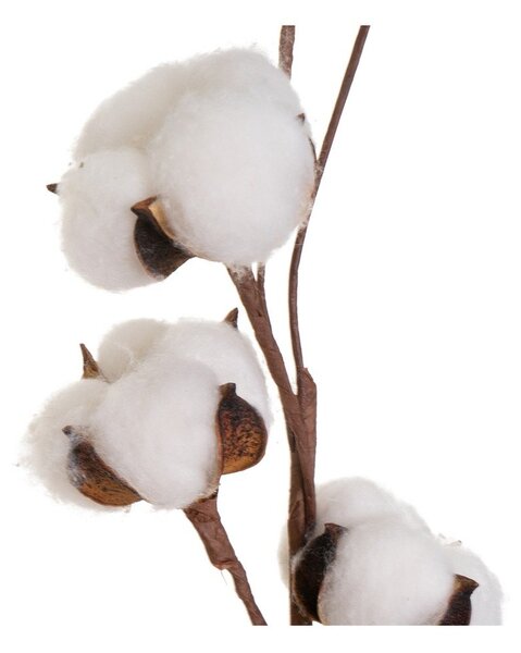 Umjetna suha biljka (visina 55 cm) Cotton – Casa Selección