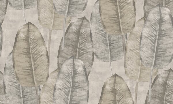 Tapeta Tahiti Rubbertree 5 boja