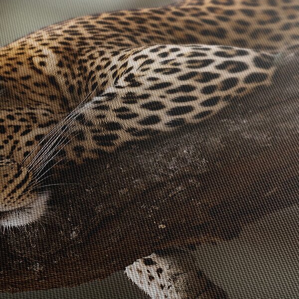 Slika leopard odmara na stablu