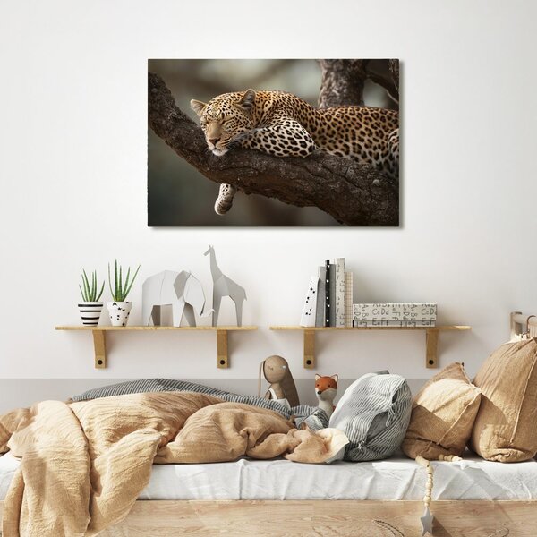 Slika leopard odmara na stablu
