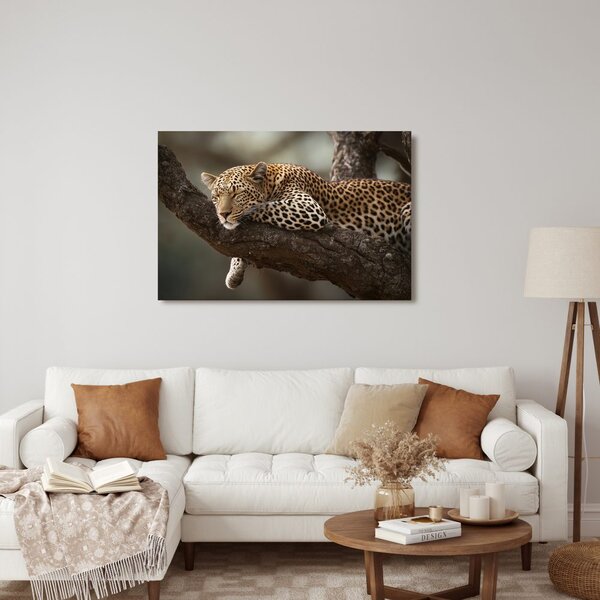 Slika leopard odmara na stablu