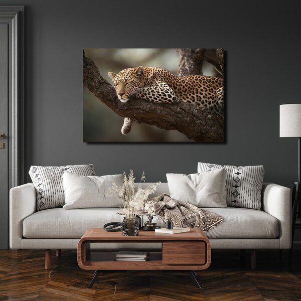 Slika leopard odmara na stablu