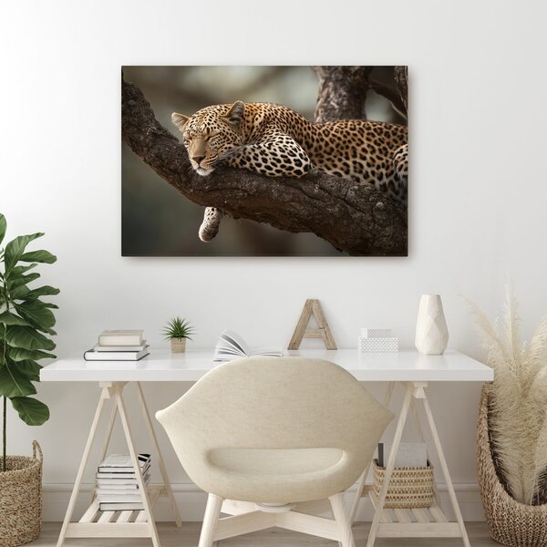 Slika leopard odmara na stablu