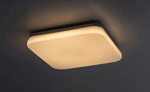 Lowar VANJSKA STROPNA SVJETILJKA LED 18W/BIJELA/IP44/1100lm RA77181