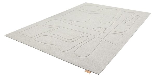 Svijetlo sivi vunen tepih 200x300 cm Morphic – Agnella