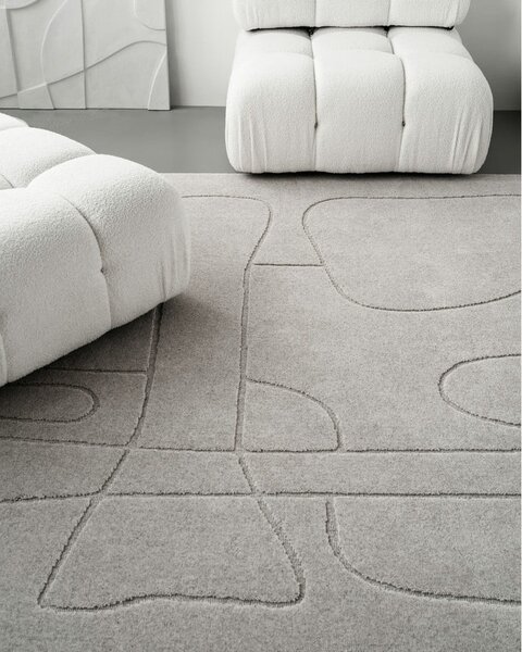 Svijetlo sivi vunen tepih 200x300 cm Morphic – Agnella