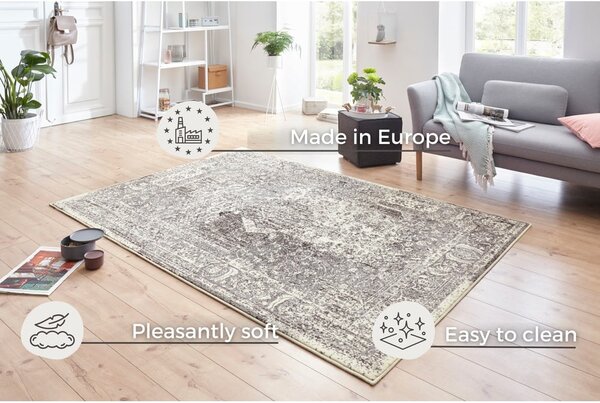 Sivo-krem tepih Hanse Home Celebration Plume, 120 x 170 cm