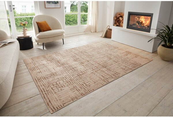 Smeđi/bež tepih 80x120 cm Terrain – Hanse Home