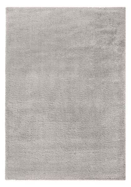 Black Friday - Svijetlo sivi tepih 120x170 cm – Flair Rugs
