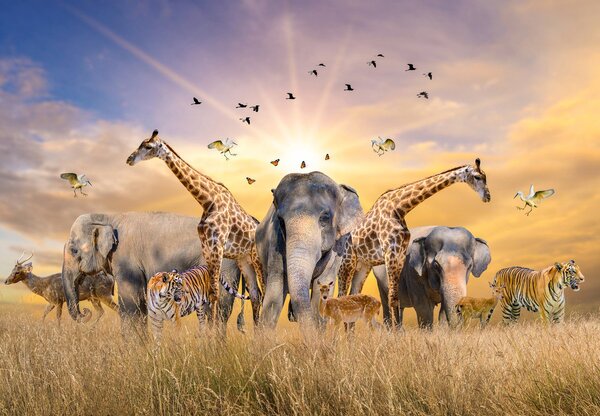 Foto tapeta - Safari (147x102 cm)