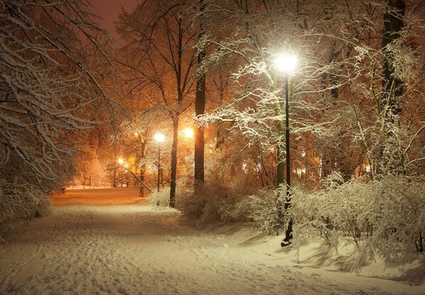 Foto tapeta - Snježni park (147x102 cm)
