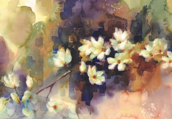 Foto tapeta - Bijele magnolije, slika (147x102 cm)