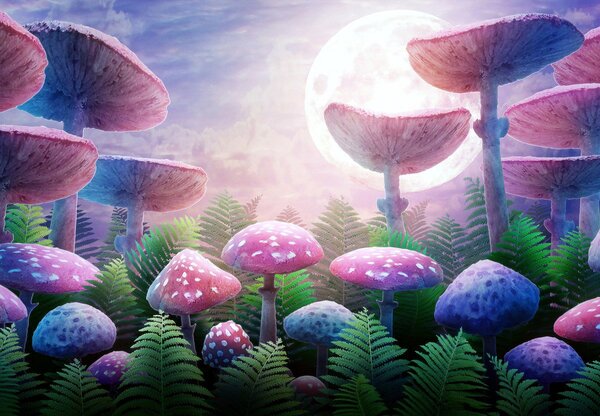 Foto tapeta - Gljive za punog mjeseca, grafika (147x102 cm)