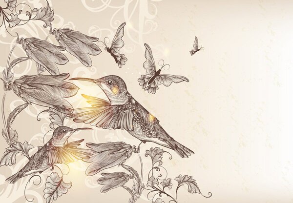 Foto tapeta - Kolibri (147x102 cm)
