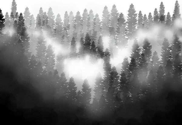 Foto tapeta - Šuma u magli (147x102 cm)