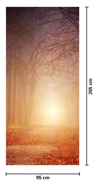 Foto tapeta za vrata - Jesenska šuma u magli (95x205cm)
