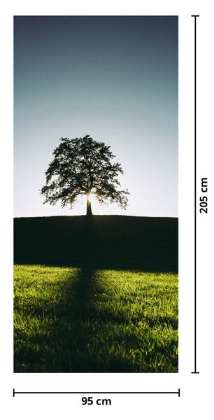 Foto tapeta za vrata - Drvo (95x205cm)