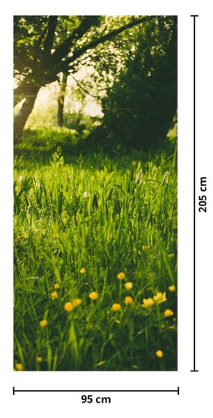 Foto tapeta za vrata - livada (95x205cm)
