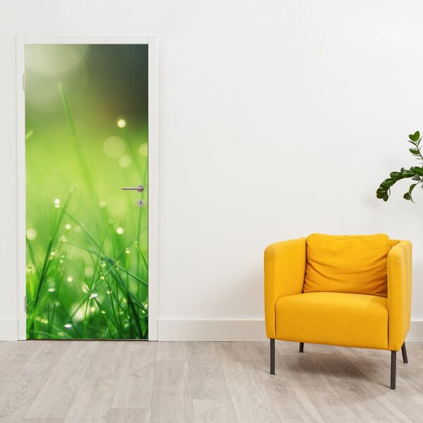 Foto tapeta za vrata - Rosa na travi (95x205cm)