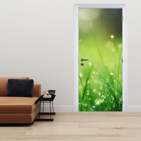 Foto tapeta za vrata - Rosa na travi (95x205cm)