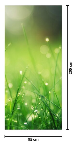 Foto tapeta za vrata - Rosa na travi (95x205cm)