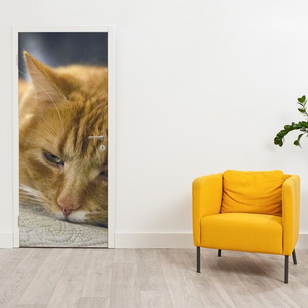 Foto tapeta za vrata - Mačke (95x205cm)