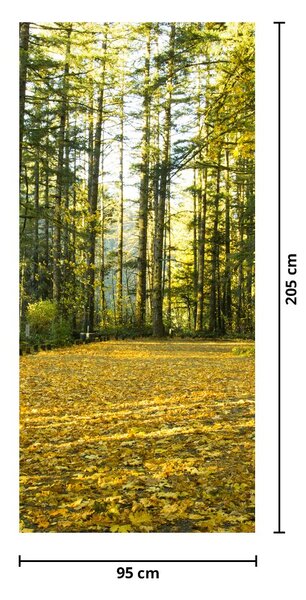 Foto tapeta za vrata - Šuma u jesen (95x205cm)