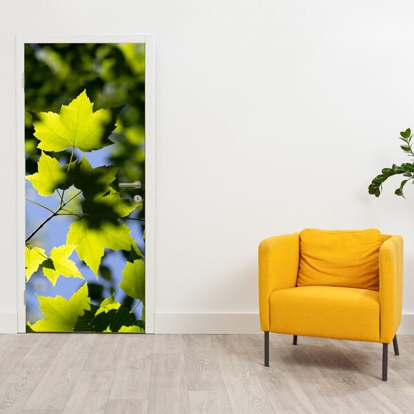 Foto tapeta za vrata - Javorovo lišće (95x205cm)