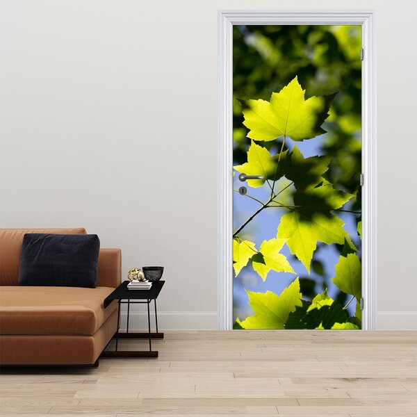 Foto tapeta za vrata - Javorovo lišće (95x205cm)