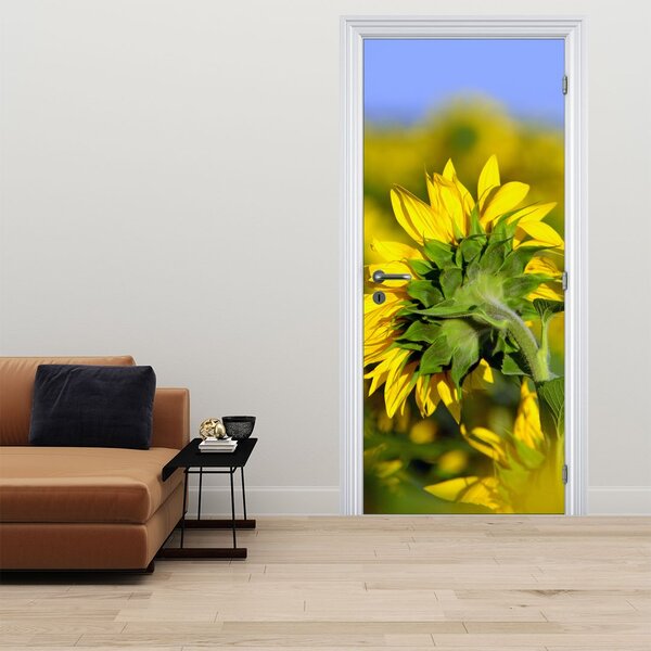 Foto tapeta za vrata - Suncokret (95x205cm)