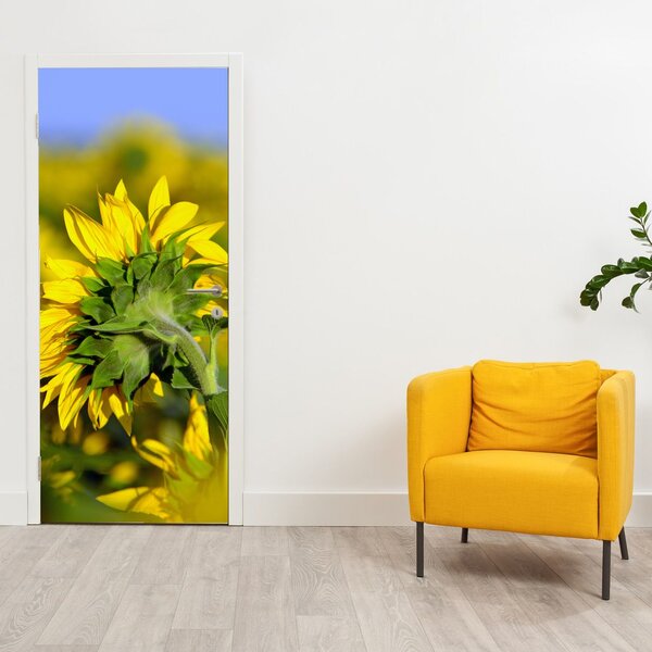 Foto tapeta za vrata - Suncokret (95x205cm)