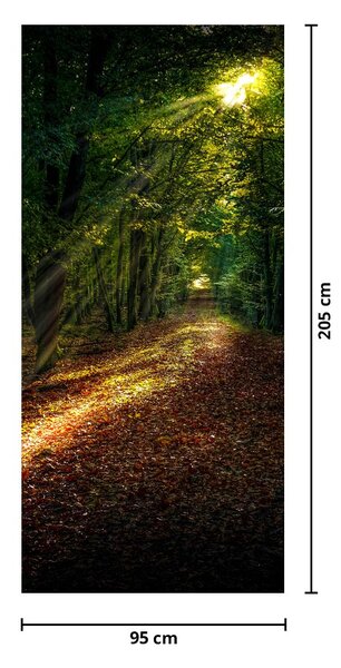 Foto tapeta za vrata - Šumska cesta (95x205cm)