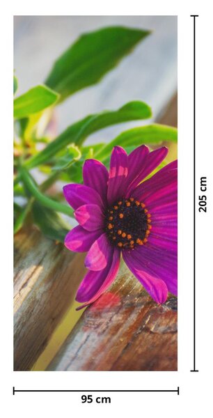 Foto tapeta za vrata - Rezano cvijeće (95x205cm)