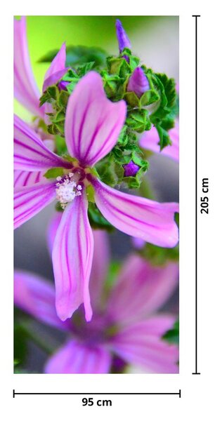 Foto tapeta za vrata - Slika cvijeta izbliza (95x205cm)
