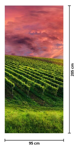 Foto tapeta za vrata - Vinograd sa šarenim nebom (95x205cm)