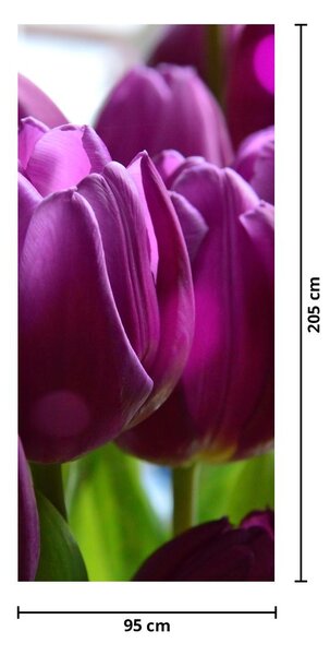 Foto tapeta za vrata - Tulipani (95x205cm)
