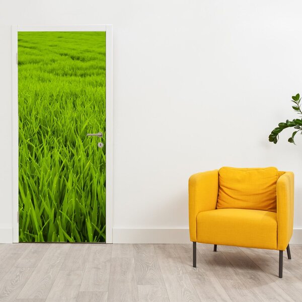 Foto tapeta za vrata - Trava (95x205cm)