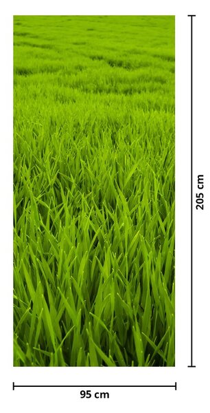 Foto tapeta za vrata - Trava (95x205cm)