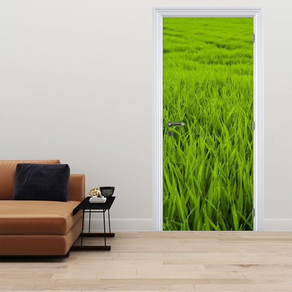 Foto tapeta za vrata - Trava (95x205cm)